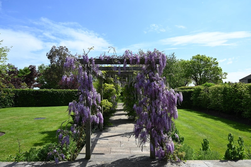 Ludney House Farm